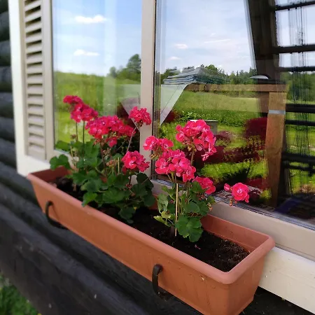 Safari House 乡村民宿 *