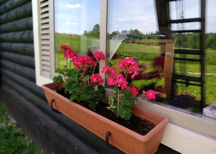 Safari House 컨트리하우스 *