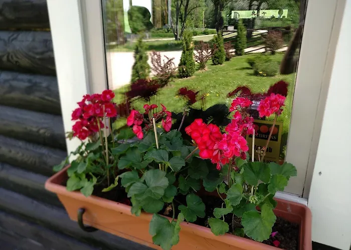 Safari House Country house *